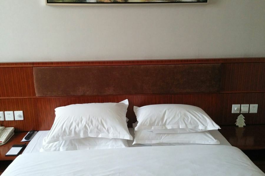 Nanjing Expo Center Hotel Zewnętrze zdjęcie